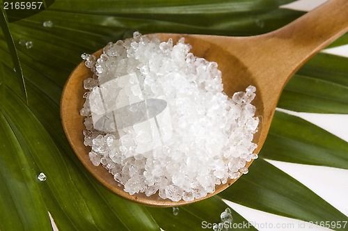 Image of bath salt and palm leaf 