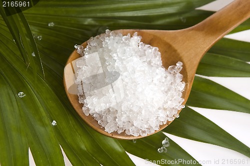 Image of bath salt and palm leaf 