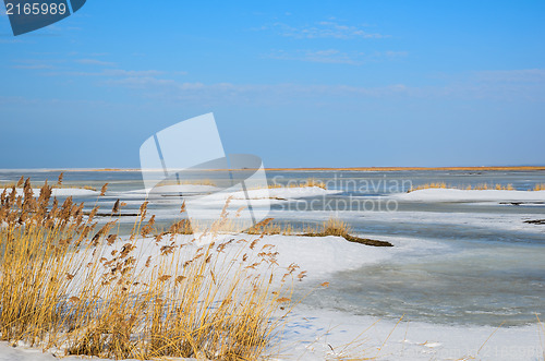 Image of Bright wetland