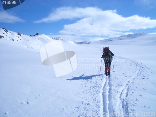 Image of Skiing in Norway