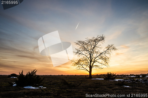 Image of Sunset at great plain area