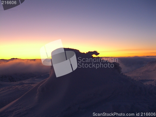 Image of Snow in Norway