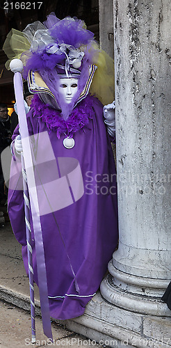 Image of Violet Venetian Disguise 