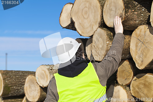 Image of Forester near logs off the pile