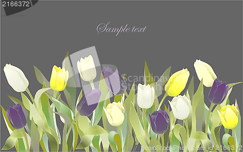 Image of Tulip flowers border. Greeting card with tulips. Colorful fresh 