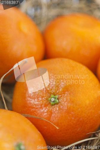 Image of Mandarins