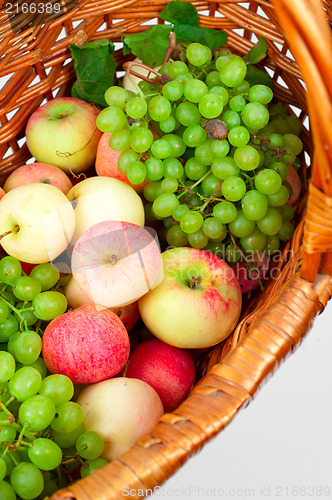 Image of apples and grapes