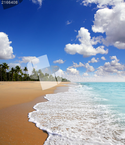 Image of beach landscape