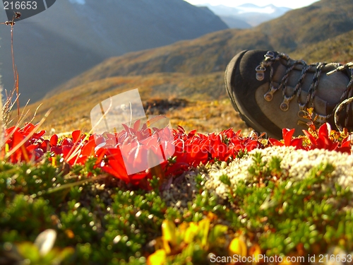 Image of Boot in mountain