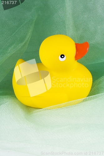 Image of Rubber duck