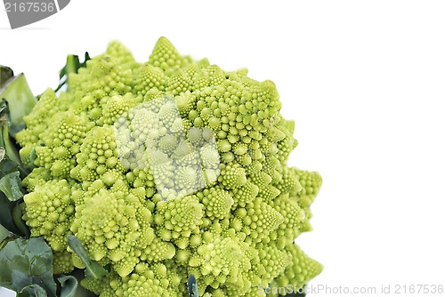 Image of Romanesco broccoli or Roman cauliflower