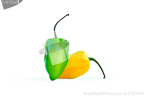 Image of Habanero Chili Pepper