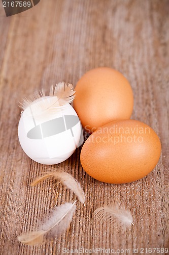 Image of three eggs and feathers 