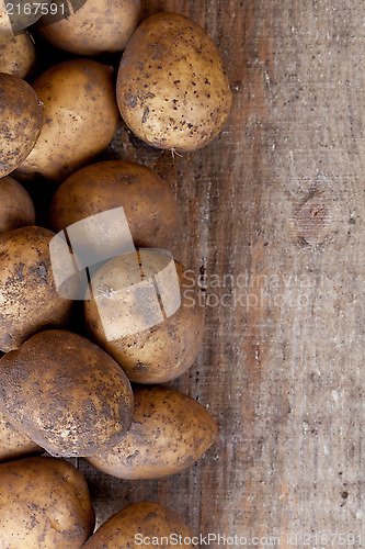 Image of organic potatoes 