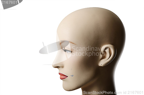 Image of headshot of a female manneqin, profile