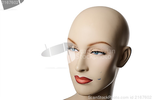 Image of headshot of a female manneqin, three-quarter