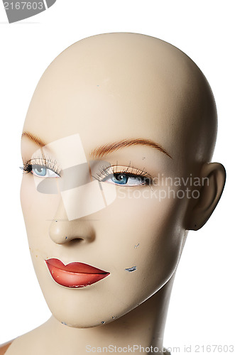 Image of headshot of a female manneqin, vertical