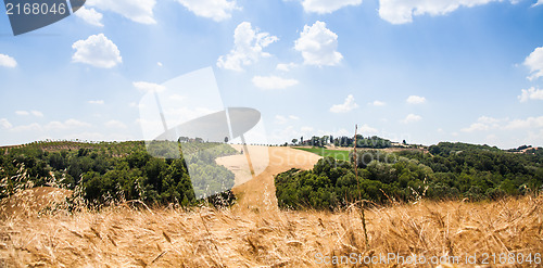 Image of Country in Tuscany