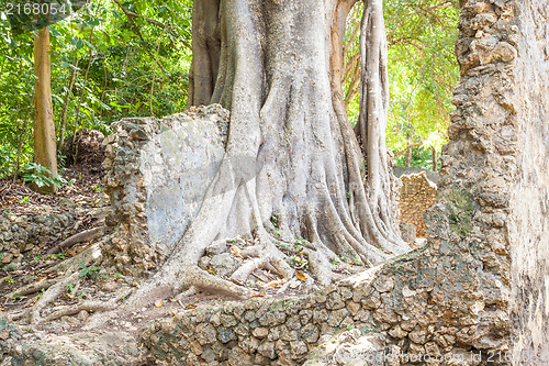 Image of Gede Ruins