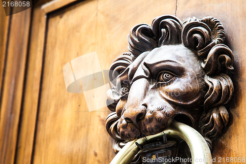 Image of Lion Head Door Knocker