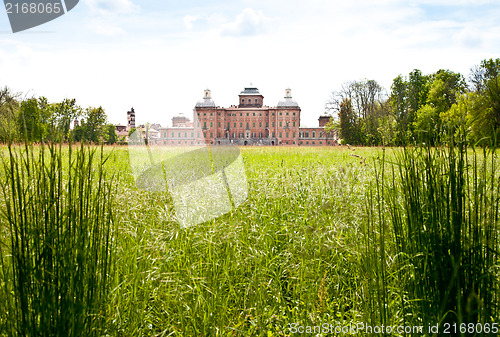 Image of Royal garden