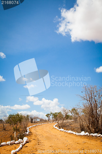 Image of Savana road