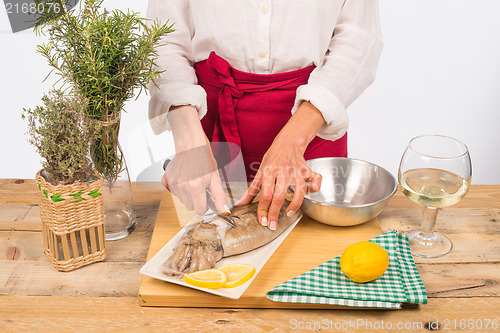 Image of Flaying a cuttlefishl