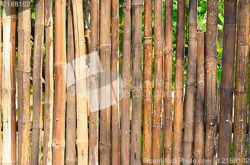 Image of bamboo fence