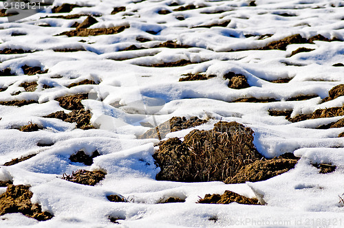 Image of acre with snow