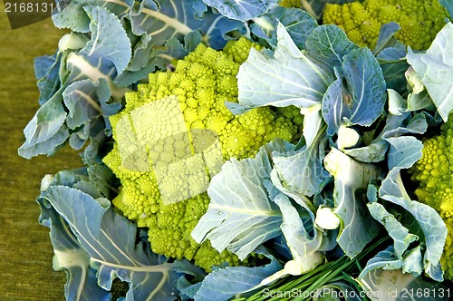 Image of green kale 