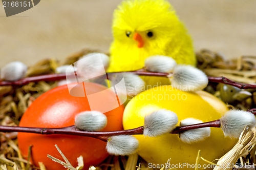 Image of easter basket with painted eggs, catkin and biddies