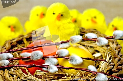 Image of easter basket with painted eggs, catkin and biddies