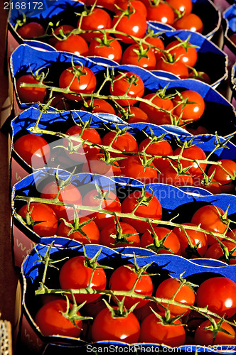 Image of tomatos at a street sale