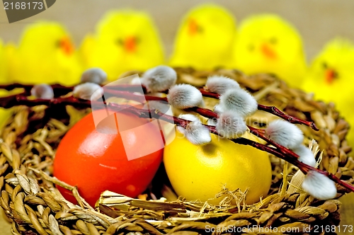 Image of easter basket with painted eggs, catkin and biddies