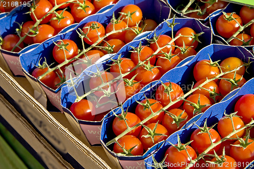 Image of tomatos at a street sale
