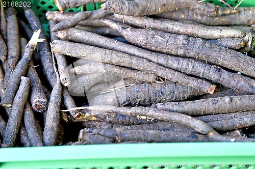 Image of black salsify