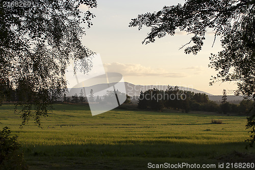 Image of Nature Landscape