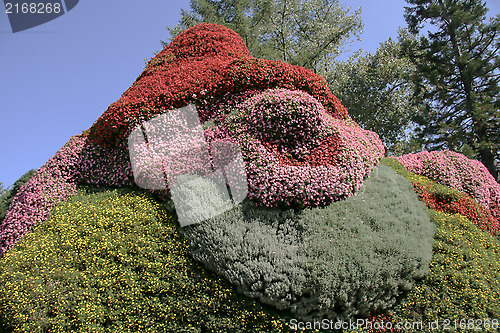 Image of Mainau flowers garden island 