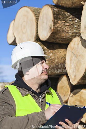 Image of Lumberjack  writing near at the log pile