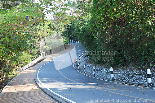 Image of jungle road