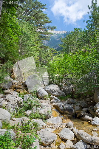 Image of  stream in the picturesque mountains 