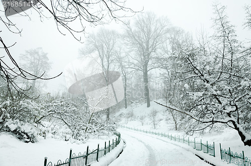 Image of Landscape in winter city park