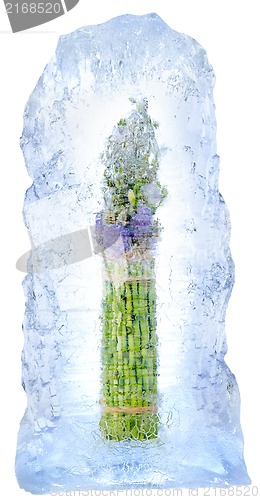 Image of frozen bamboo