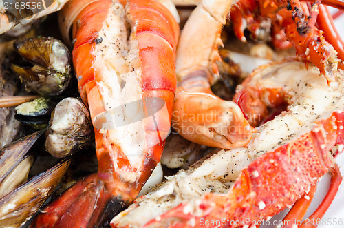 Image of Lots of Sea Food