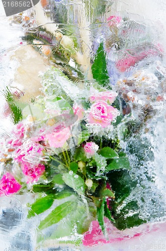 Image of icy roses