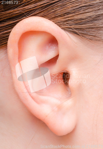 Image of ear  of a young woman