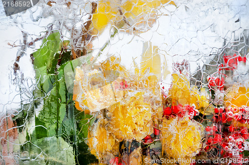 Image of icy roses