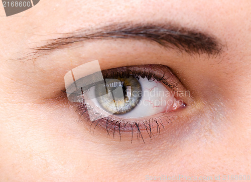 Image of human eye closeup