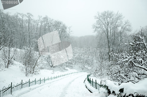 Image of Landscape in winter city park