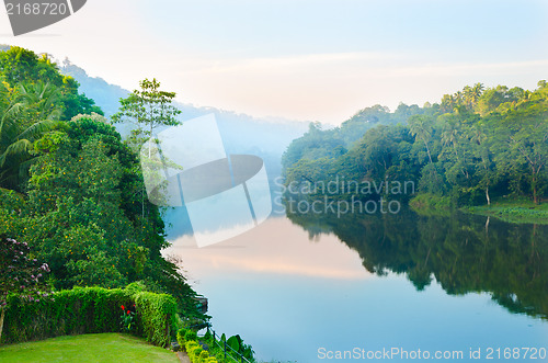 Image of wonderful morning on  tropical river